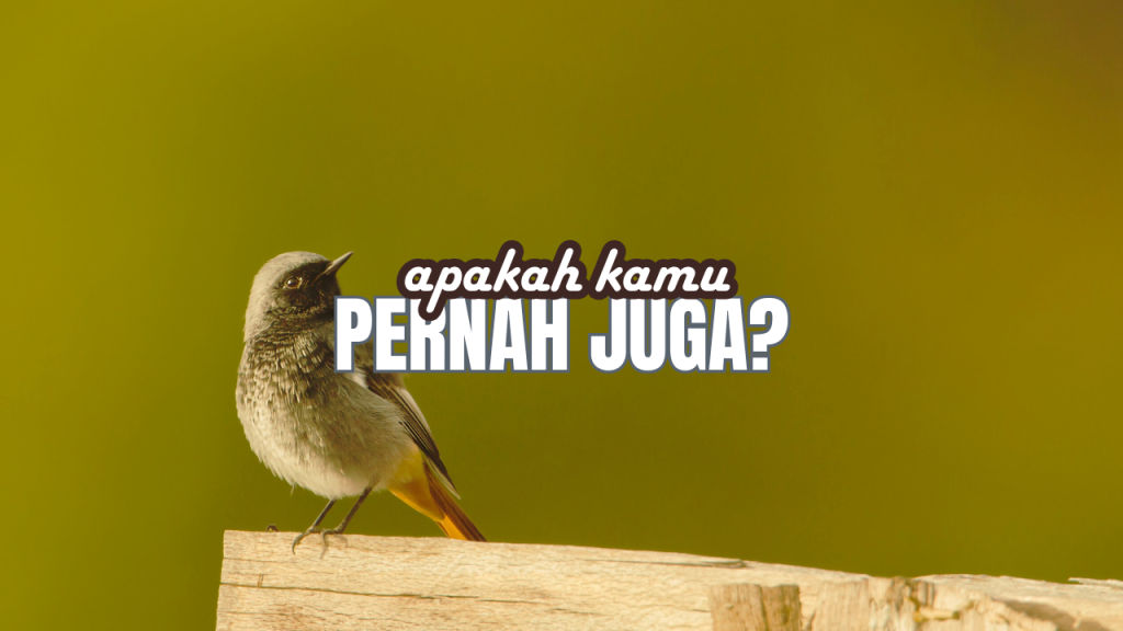 Aku pernah marah ke Bapak, apakah kamu pernah juga?